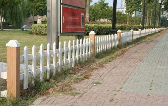 �̻�����