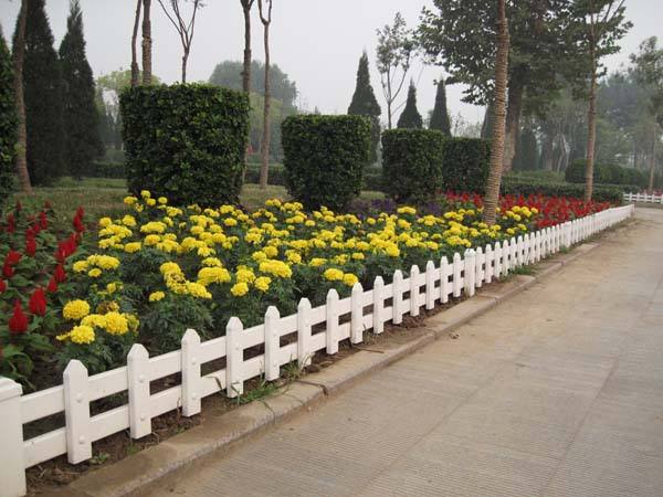 �̻�����